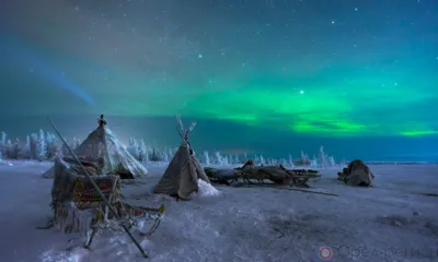 Защита жилищных прав граждан, выезжающих из районов Крайнего Севера и приравненных к ним местностей