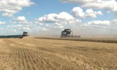 На Орловщине намолотили почти 3 млн тонн зерновых