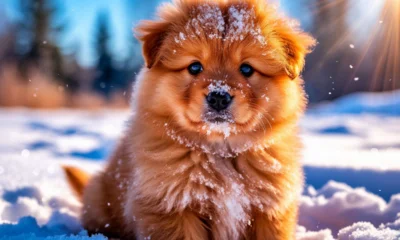 На Орловщине температура воздуха ночью опустится ниже 30 градусов