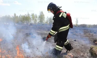 На территории Орловской области за сутки подтвердились 16 термоточек