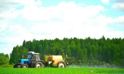 На Орловщине под урожай 2024 года сельхозкультуры посеяны на 1344 тыс. га