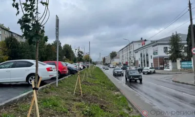 В Орле высадили деревья на ул. Ломоносова и ул. Максима Горького