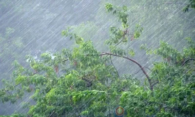 На Орловскую область надвигаются грозы