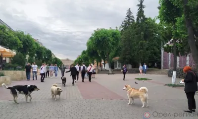 Компас в мире вопросов