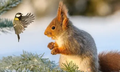 Орловцев в ближайшие дни ждёт мороз и сильный ветер