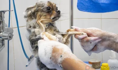 В Железнодорожном районе Орла 11 домов остались без горячей воды