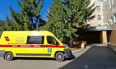 В Гомельской области в ДТП с лосем один орловец погиб и двое пострадали