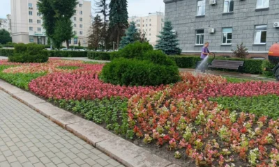 Более десяти тысяч цветов украшают площадь Ленина в Орле