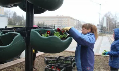 В центре Орла высадили шесть тысяч цветов