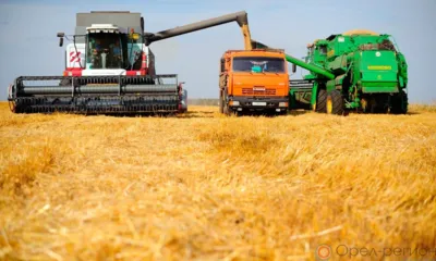 Уборочная страда на Орловщине начнётся в конце июля