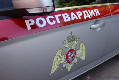 Орловцы пытались обворовать два магазина