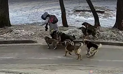 Итоги недели...