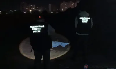 Следователи и криминалисты установят причины провала грунта в Орле