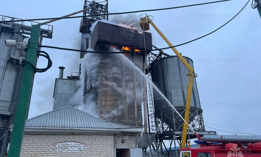 На Орловщине пожар уничтожил семена подсолнечника