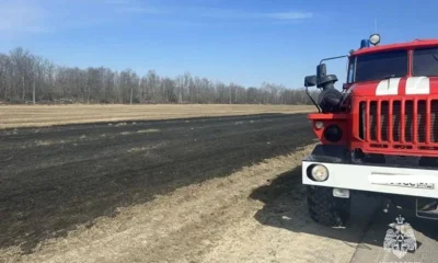 На Орловщине за сутки 12 раз горела сухая трава