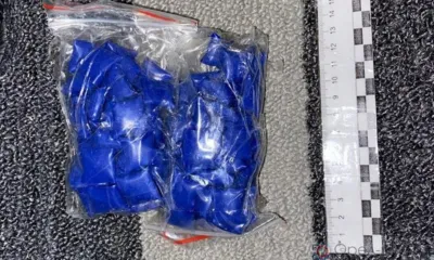 Орловские полицейские нашли у иностранцев крупную партию наркотиков