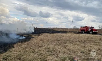 На Орловщине зарегистрировано первое в этом году горение сухой травы