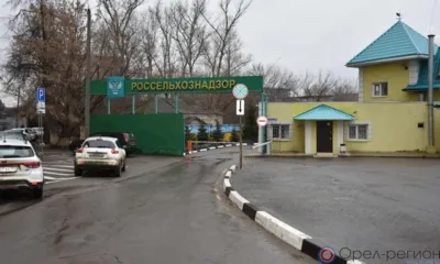 В Знаменском районе убрали несанкционированную свалку