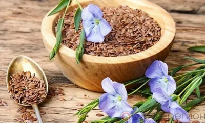 Увеличился экспорт семян льна из Орловской области