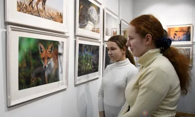 «Легенды Орловского полесья»
