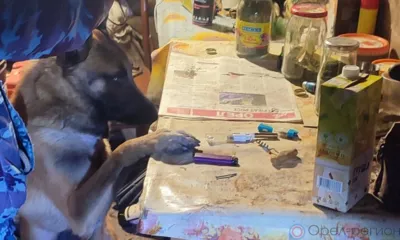 Орловца обвиняют в совершении четырёх преступлений