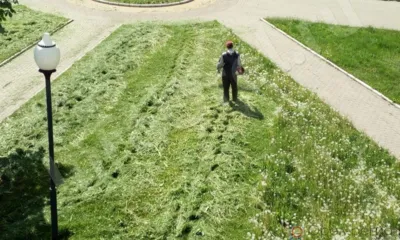 В Орле покосом травы ежедневно занимаются более 50 человек