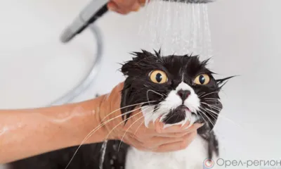 Орловцам сегодня отключат горячую воду и снизят параметры отопления