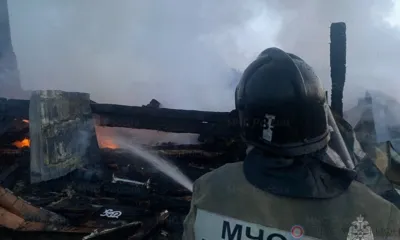 Пал сухой травы в Орловской области стал причиной сгоревших построек