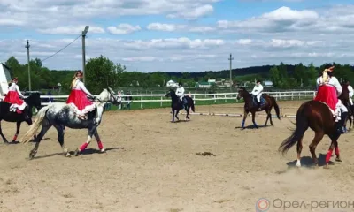 В День русского поля орловцам покажут конное шоу