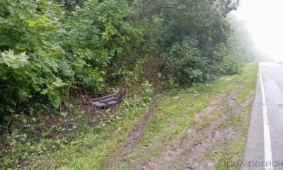 На автодороге Орёл-Ефремов Lada вылетела в кювет и перевернулась