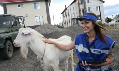 Сельская Орловщина в цифрах