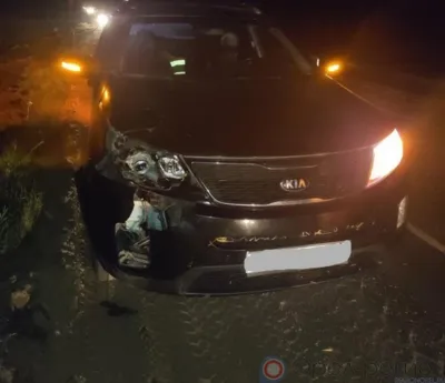 На трассе под Орлом насмерть сбили пешехода