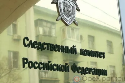 СК просит орловцев оказать содействие в установлении родителей найденного среди мусора ребёнка