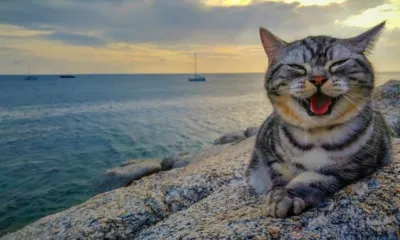 В Орловской области к купальному сезону подготовили 39 пляжей