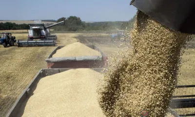 Верховские аграрии близки к завершению обмолота озимых зерновых культур нового урожая