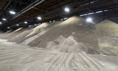 Орловская область с начала года экспортировала почти 10 тысяч тонн шрота