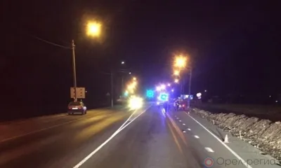 В Орловской области неизвестный насмерть сбил пешехода