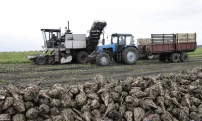 Сладкая нива Орловщины