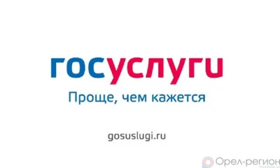 Орловские приставы вынесли более 82 тысяч постановлений об ограничении выезда за пределы страны
