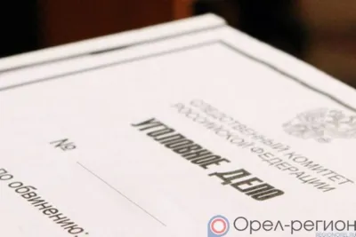 В Должанском районе возбудили 9 уголовных дел по фактам хищения средств, выделенных на реализацию нацпроекта