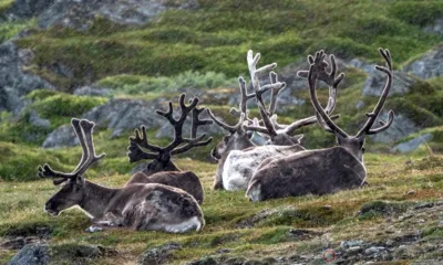 Красоты разных широт на выставке в Орле