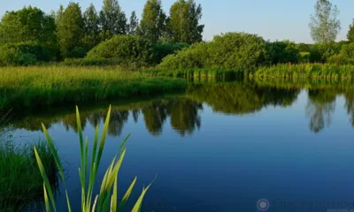 В Орловской области временно закрыто семь зон отдыха