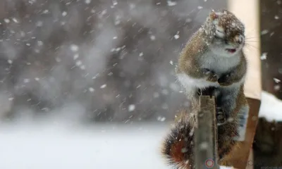 Орловцев предупреждают о порывистом ветре и осадках