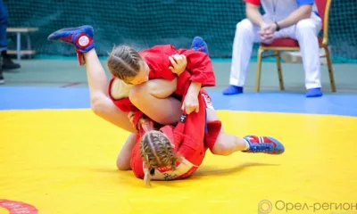 Всероссийский день самбо отметили в Орле