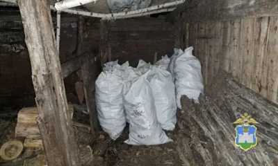 Орловца подозревают в краже почти четырёх тонн кукурузы