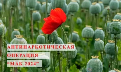 В Орловской области из незаконного оборота изъято более 600 г наркотиков