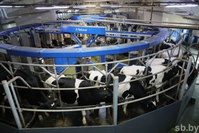 Фото 2. Журналист «Орловской правды» приняла участие в пресс-туре в Бресте