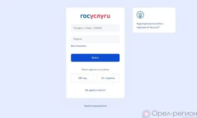 Мошенники предлагают орловцам обновить аккаунт на Госуслугах