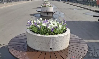 В Орле в вазонах на Александровском мосту появились петунии