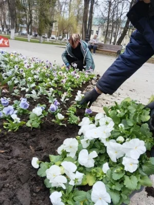 Фото 3. В Орле к майским праздникам красят лавочки и убирают песок с улиц